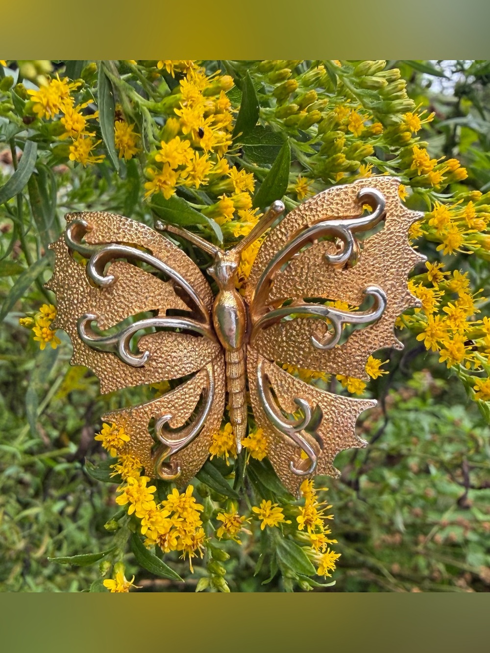Gold Butterfly Brooch Pin - Women's Accessories
